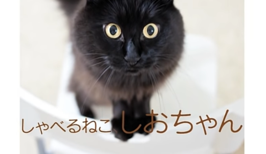 六丸の工房 声優のようなイケボでとんでもない吹き替えをする天才 アニメ通必見